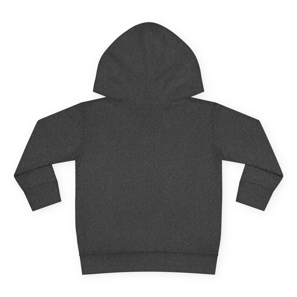 Unity Lion Toddler Hoodie — Cute Kids Pullover Fleece Hoodie