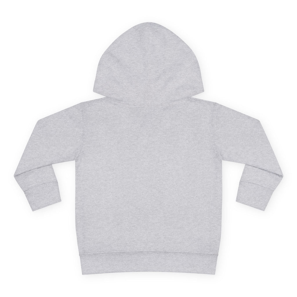 Unity Christian Lions Toddler Hoodie — Pullover Fleece Kids School Sweatshirt