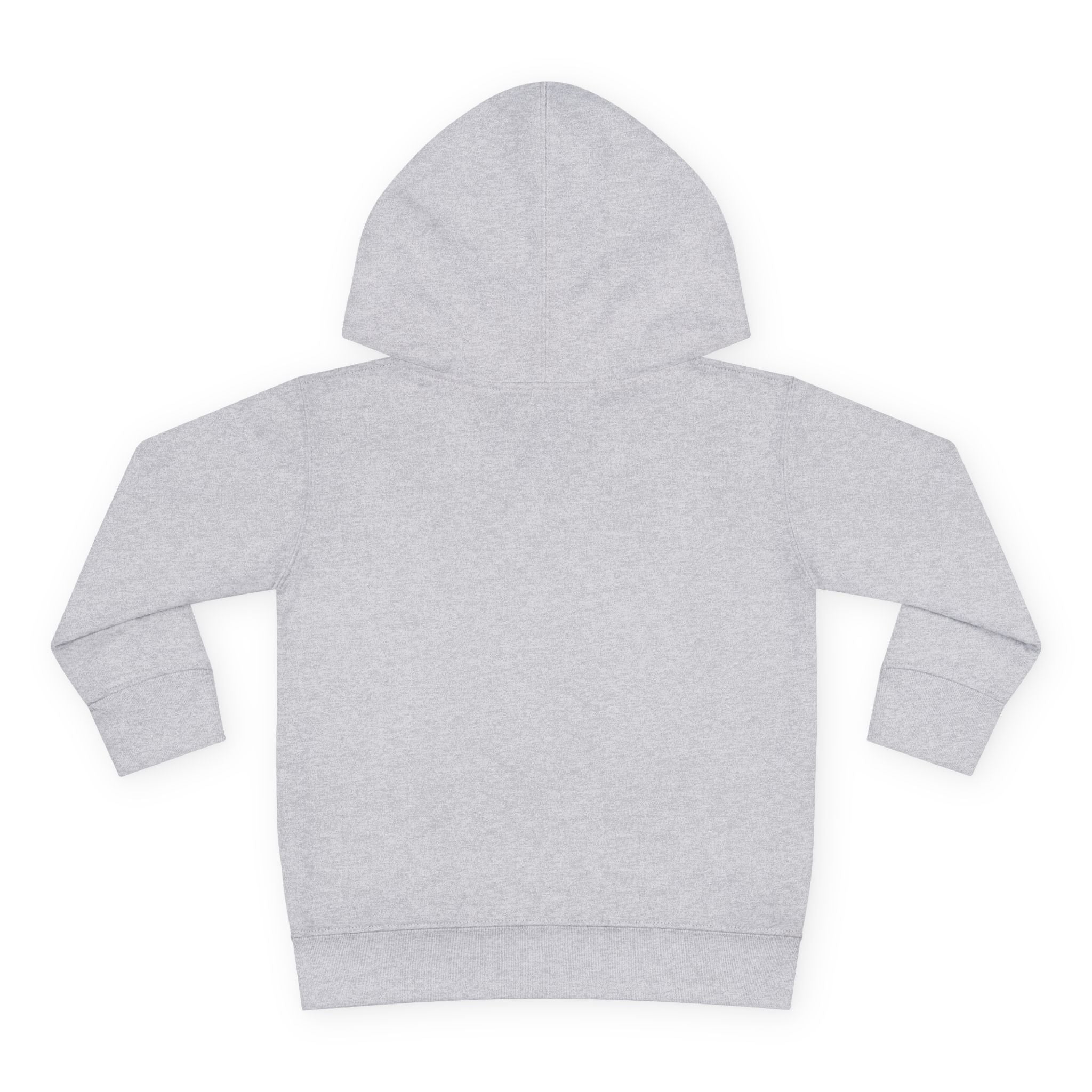 Unity Christian Lions Toddler Hoodie — Pullover Fleece Kids School Sweatshirt