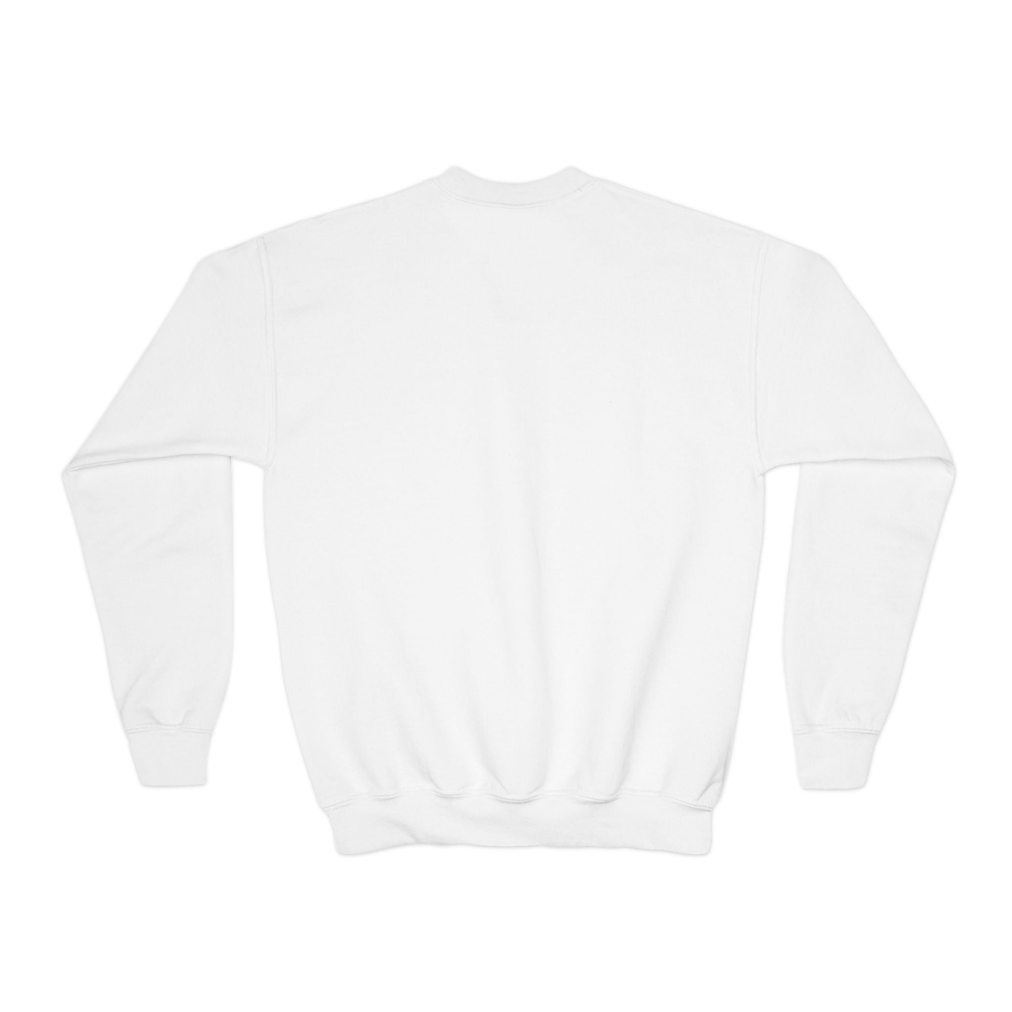 Youth Crewneck Sweatshirt - Timely Christian Lions