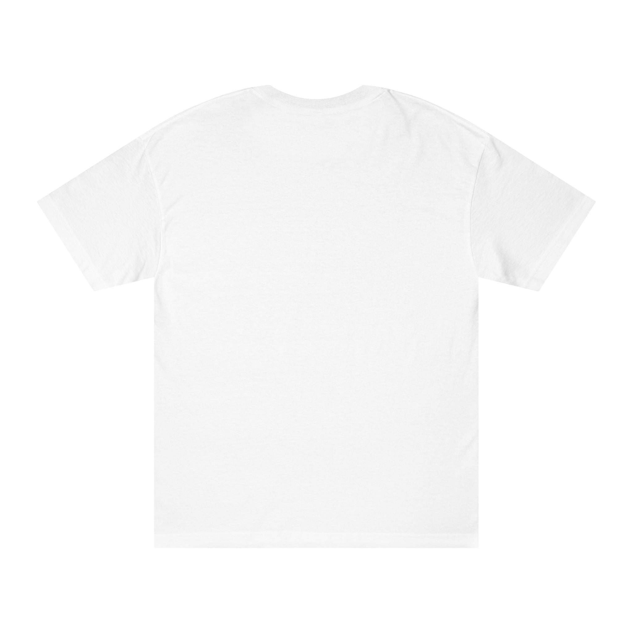 Unity Lion Tee — Vintage Athletic Graphic T-Shirt