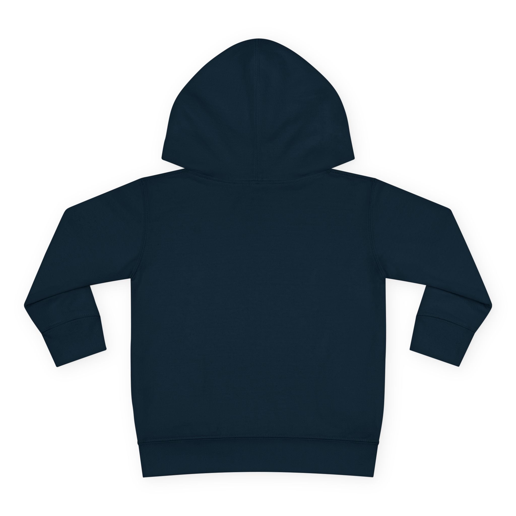Unity Lion Toddler Hoodie — Cute Kids Pullover Fleece Hoodie