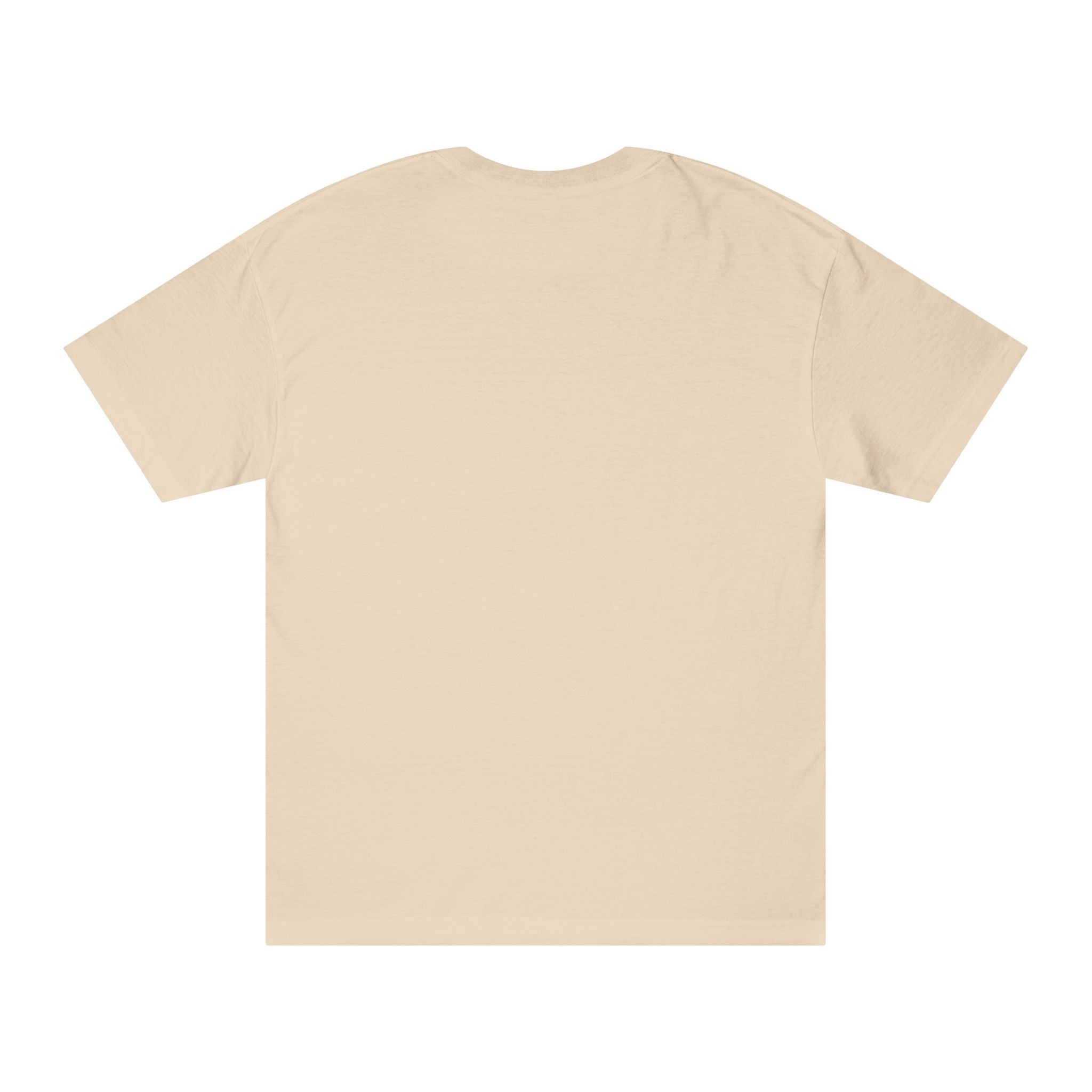 Unity Lion Tee — Vintage Athletic Graphic T-Shirt