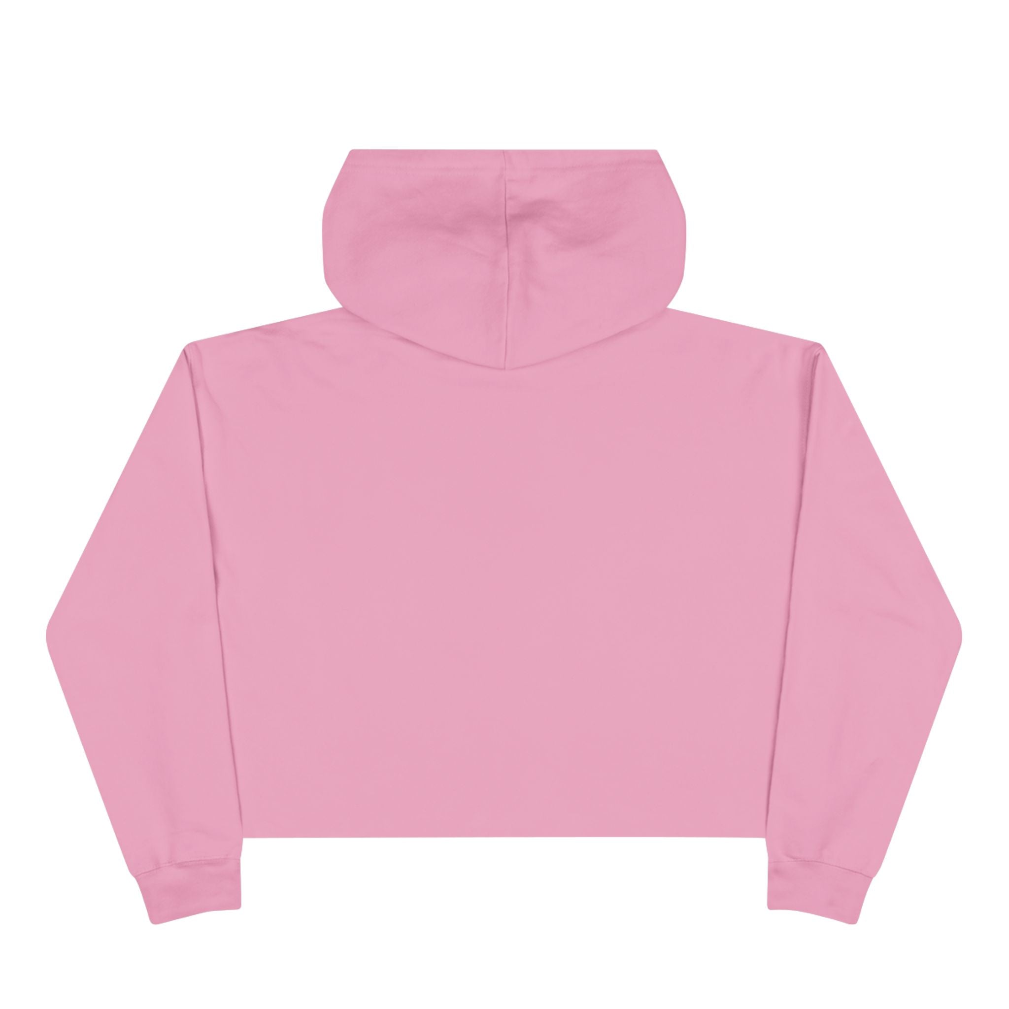 Unity Christian Cropped Hoodie