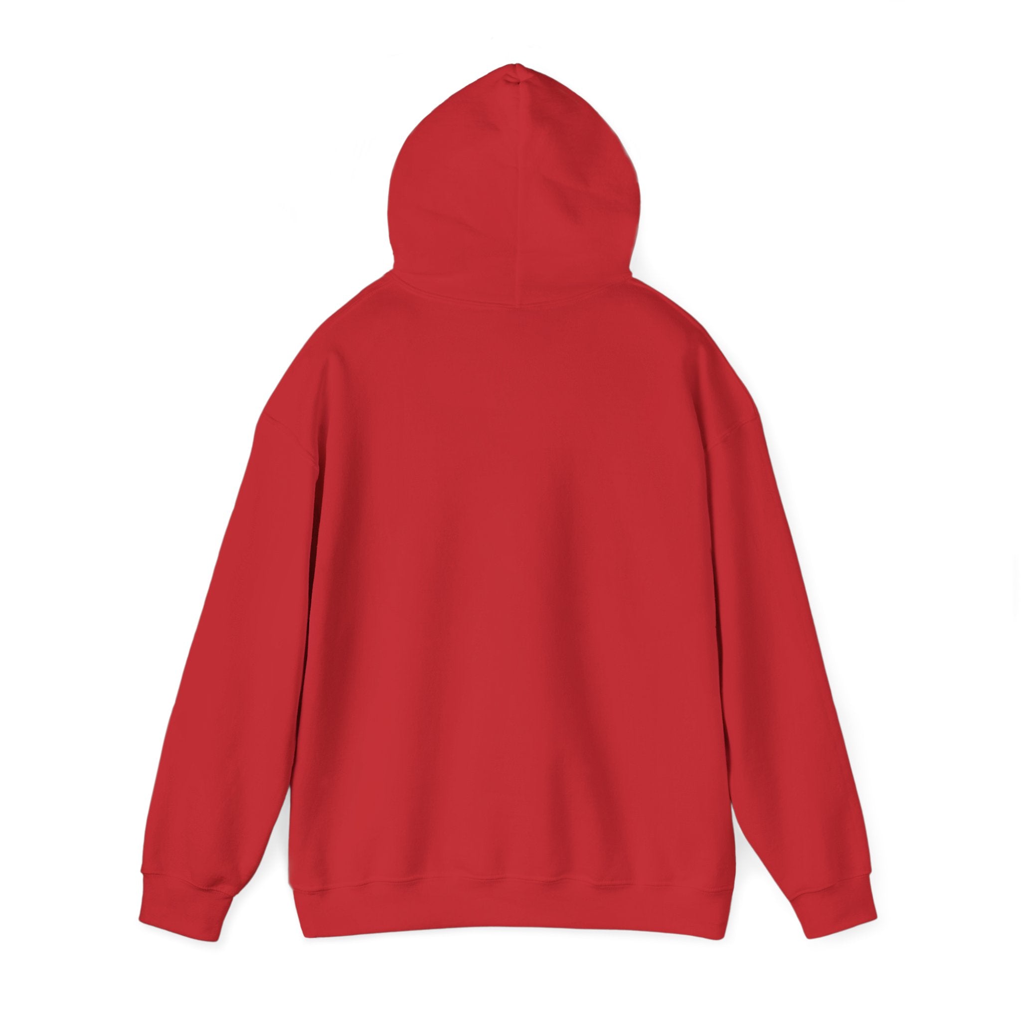 Unity Alumni Hoodie — Classic Collegiate Alumni Pullover