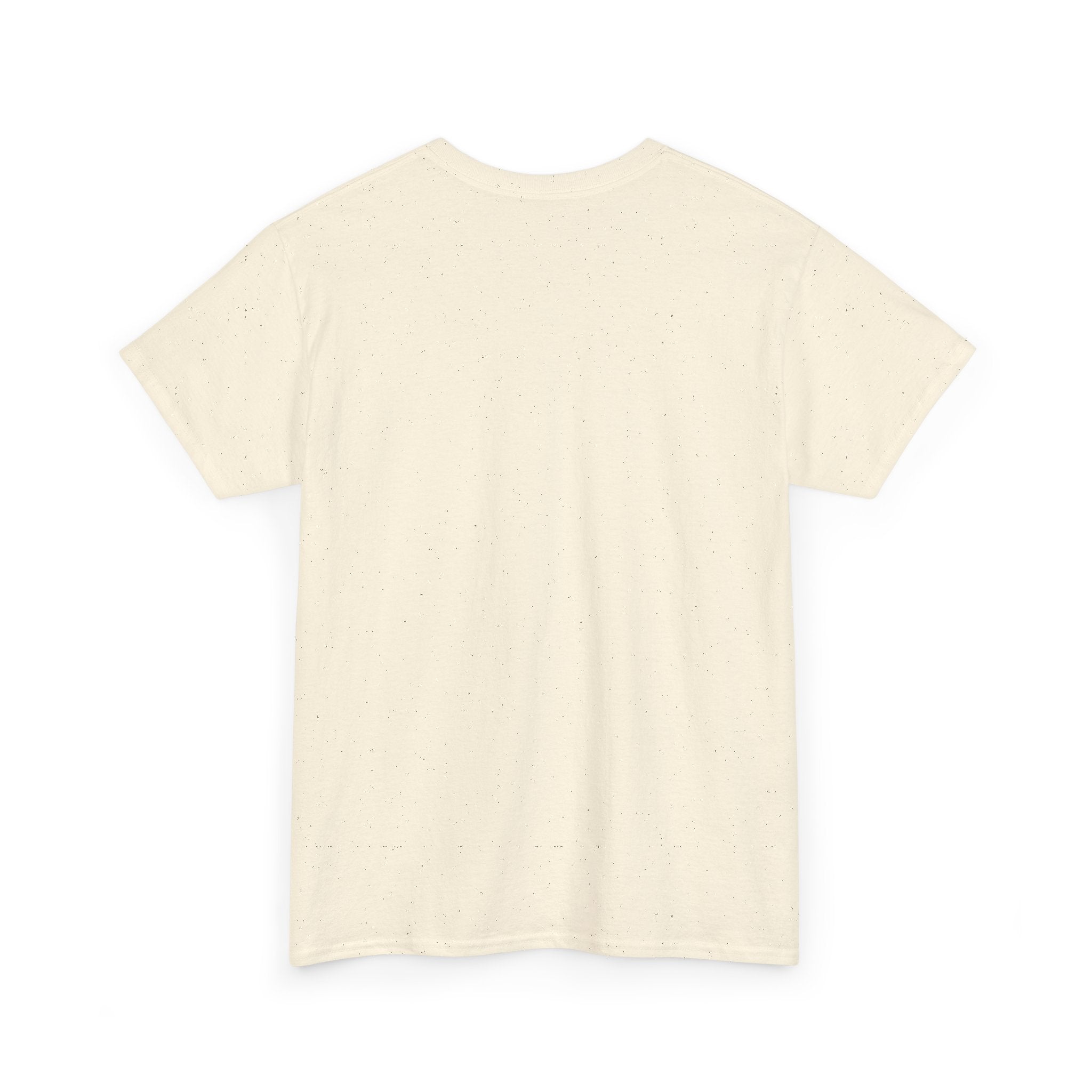 Unity Lions Football Christian Tee — 'Football Unity Christian' Team Shirt