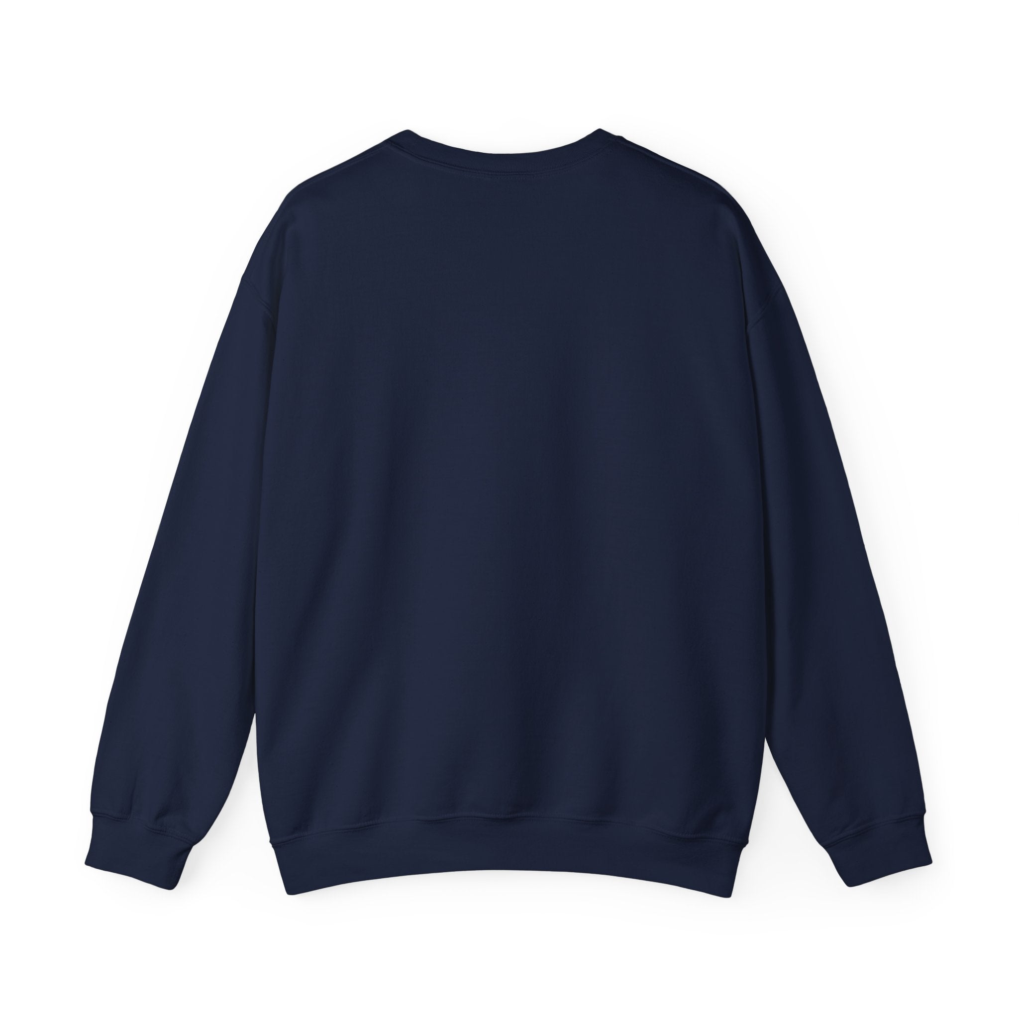 Unity Lions Crewneck Sweatshirt — 'Lions Unity' School Spirit Pullover