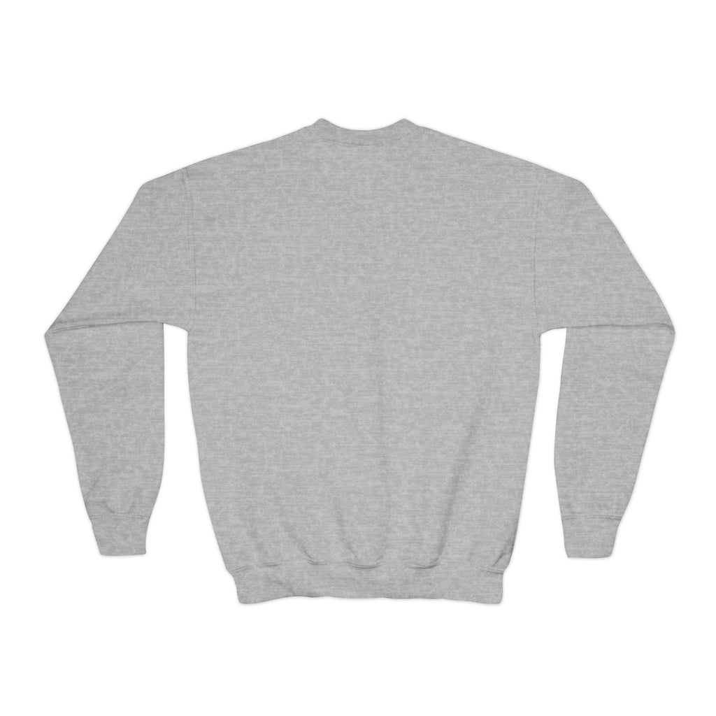 Youth Crewneck Sweatshirt - Timely Christian Lions